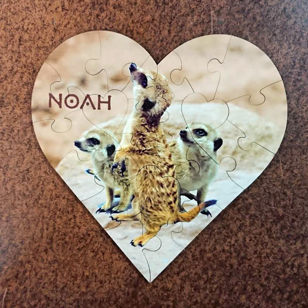 インナー シティ ズーノア公式 Noah Zoo Twitter