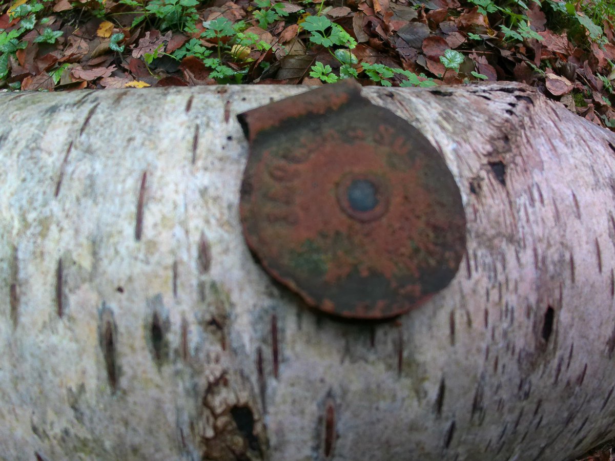 youtube.com/watch?v=bsjh92…