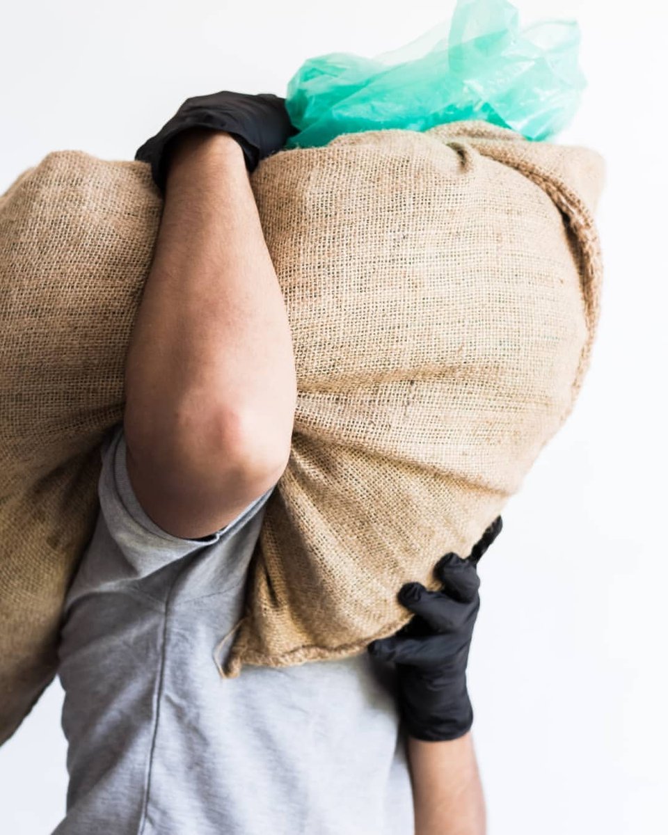 grainproinc's tweet photo. "Our #greencoffee has certified conservation thanks to the #GrainProBags. They allow green #coffee to be stored #hermetically, prolonging its longevity. Protects against mold growth and insect infestation, in addition to preserving flavor and aroma." - @origencaripe ๐ป๐ชโ๐ฏ https://t.co/E8362JKXgg