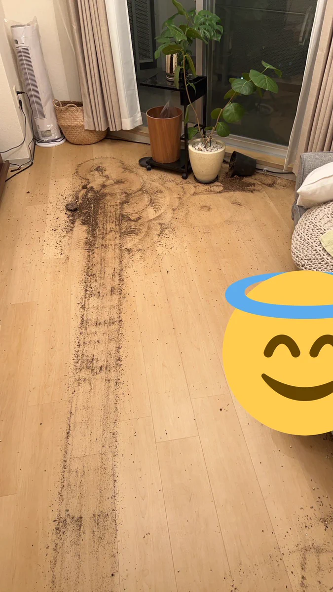 ルンバに一体何が！？部屋が荒らされてしまうwww