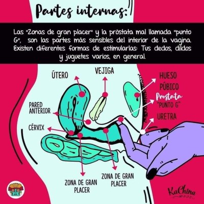 _EducaSexEsp's tweet photo. La #saludsexual es importante y el  #autoconocimiento es esencial para preservarla.  🧐 Observa tu cuerpo ! conocerse es prevenir, es salud 👉  https://t.co/zExZsJXSe9
Artista #CaChina https://t.co/hlfCfY89oP