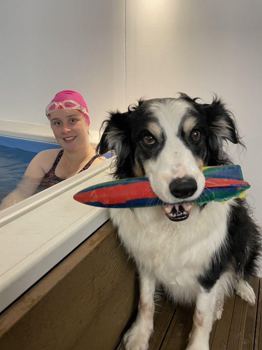 Having a great day in the pool training Learn to Swim Instructors #swimmastery #teachinghreatswimmingatthegrassroots #swimtechnique #learntoswim