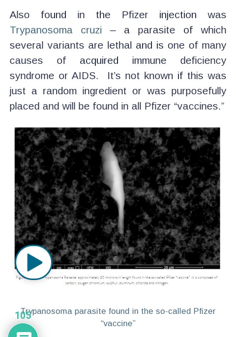 BosiboriKimari's tweet photo. Additional #Covaids #VAIDS pathway courtesy of #Schizer:
3. #TrypanosomaCruzi 'a parasite of which several variants are lethal and is one of many causes of #AcquiredImmuneDeficiencySyndrome or AIDS'
https://t.co/8SbRJ60jHs