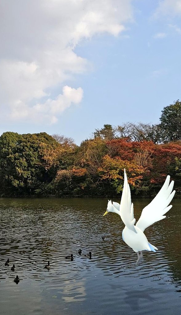 スワンナ Twitter Search Twitter