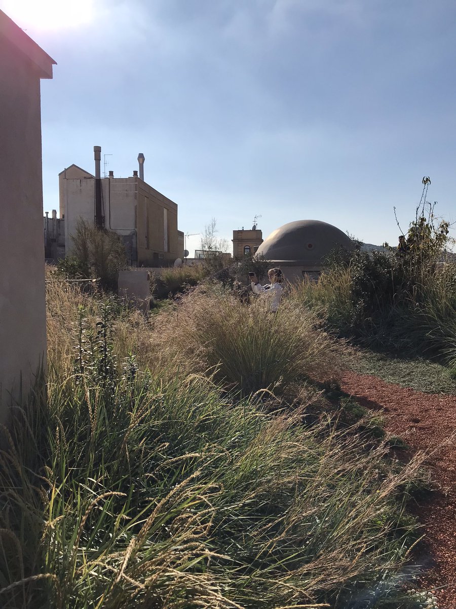 coincidencies's tweet photo. Acabem el matí als Terrats d'en Xifré, un projecte d'ús transversal dels terrats amb coberta verda, hort, zona d'esbarjo, col·lecta d'aigua i molts altres serveis. Impulsat per l’Institut de Paisatge Urbà #Barcelona #IMPU i obra de @MataAltaStudio es troba al barri de Sant Pere. https://t.co/biBkxRocaZ