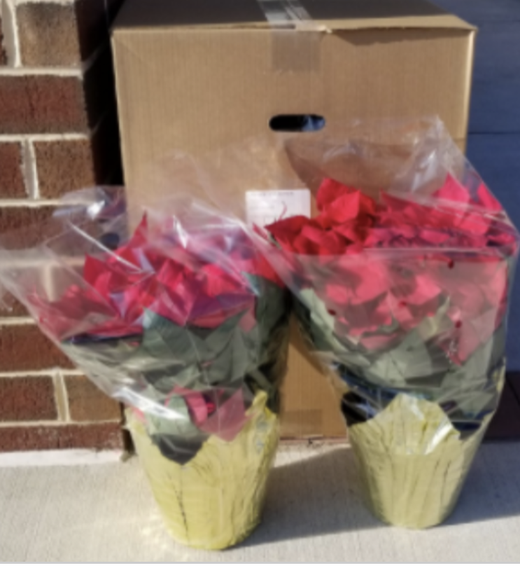 Hey <a href="/ColganCounselor/">Colgan Counseling</a>, your offices look great! However a poinsettia or two makes a GREAT addition to the decor! 
Order here: colganathleticboosters.com/store/c7/ORDER…