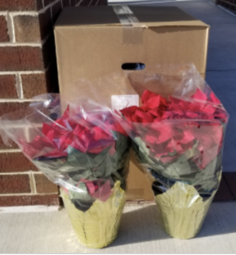 Hey! <a href="/ColganPtso/">Colgan PTSO</a>...need any poinsettias??
Buy them here: colganathleticboosters.com/store/c7/ORDER…