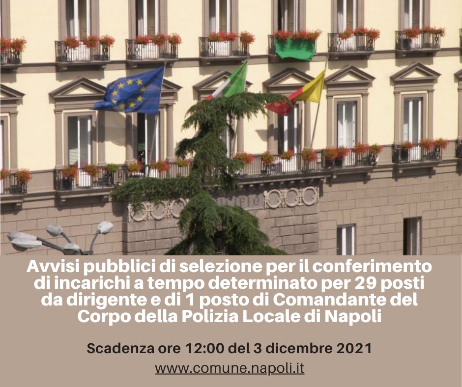ComuneNapoli's tweet photo. Pubblicati sul sito istituzionale gli avvisi pubblici per il conferimento di incarichi a tempo determinato per 29 posti da dirigente (https://t.co/ChUZlqZQvp) e di 1 posto di Comandante del Corpo della Polizia Locale (https://t.co/7ZxkNIvd8U). Scadenza ore 12 del 03/12/2021 https://t.co/RsWzz8pZAd