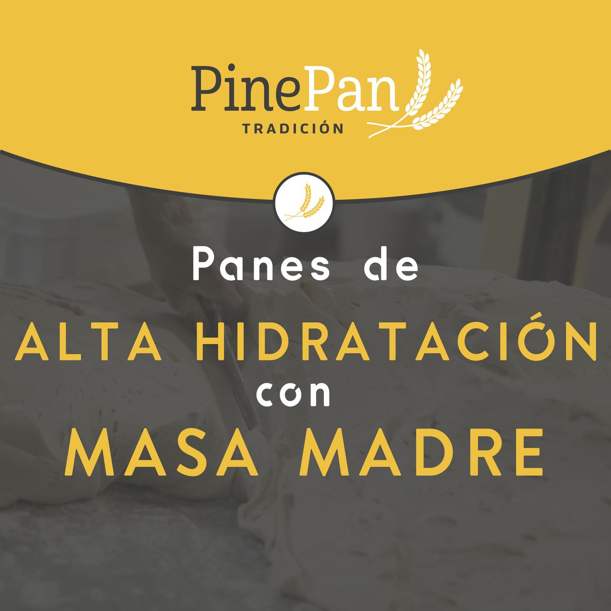 PINEPAN_'s tweet photo. Contamos con líneas de producción de panes de alta hidratación con masa madre y harina de centeno, donde con la unión de tradición y nuevas tecnologías obtenemos un pan de corteza delgada crujiente y una miga de gran alveolatura, resultando un producto sencillamente irresistible. https://t.co/ux3WxIIsfq