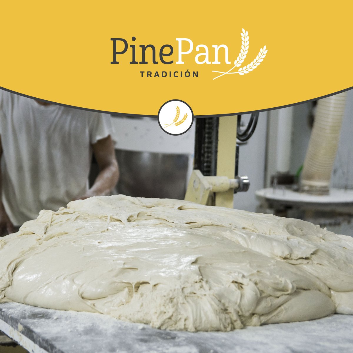 PINEPAN_'s tweet photo. Contamos con líneas de producción de panes de alta hidratación con masa madre y harina de centeno, donde con la unión de tradición y nuevas tecnologías obtenemos un pan de corteza delgada crujiente y una miga de gran alveolatura, resultando un producto sencillamente irresistible. https://t.co/ux3WxIIsfq