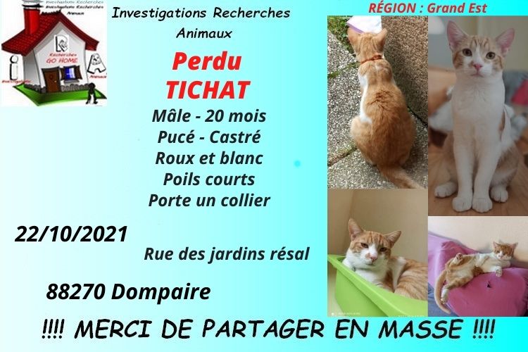 Kate23170's tweet photo. Merci de RT pour nous aider à retrouver TICHAT disparu à Dompaire 88270 depuis le 22/10/2021. Si infos merci de tel au 06 64 28 34 24 ou MP à @Kate23170 https://t.co/IU8lNycPMm