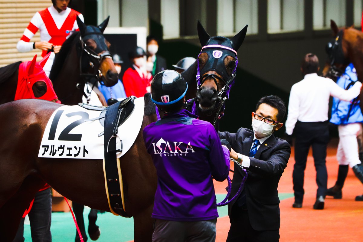 majesty_bio's tweet photo. 2021/11/14 福島3R・3歳以上1勝クラス
アルヴェント
(マジェスティックウォリアー×ヴァゼム)

向こう正面では名前の由来通り『風に乗って』後方から一気に捲り先頭へ。物凄い脚を繰り出したバライロノキセキの猛追をおさえて2勝目！

#アルヴェント
#横山和生
#伊坂重信厩舎 https://t.co/WhnN71JU9l