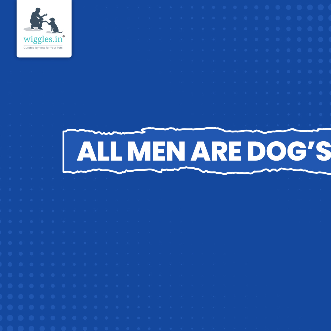 WigglesIndia's tweet photo. All women would agree 😉 Happy International Men's Day to our wonderful men 🤗
.
.
#internationalmensday  #mensday #changetheperspective #WigglesIndia #doggolove #doglover #dogsbestfriend https://t.co/qO4typeeg5
