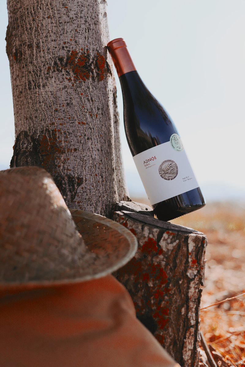 Bodegas_Covinas's tweet photo. Adnos Bobal, uno de los vinos preferidos de grandes críticos a nivel internacional.
https://t.co/LvjMYjrBTG
#Coviñas #Adnos https://t.co/IM7CuurPgG
