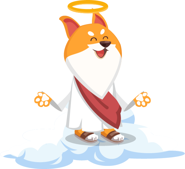 God Shiba Token tweet media
