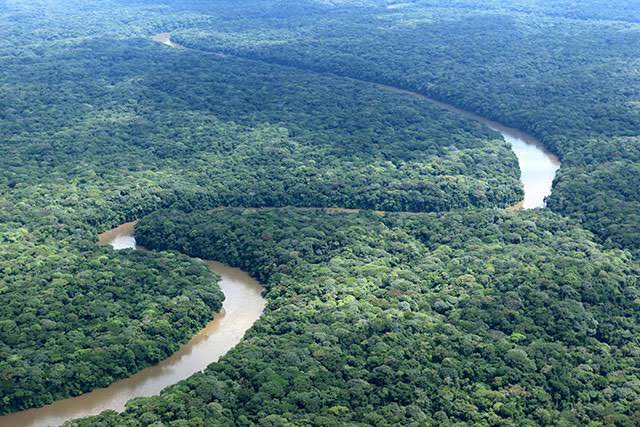 JeanineMabunda's tweet photo. Aucun secteur ne peut générer de l'emploi pour les jeunes comme l'agriculture (au sens large). 
Avec ses millions d'hectares arables et forêts, le Congo peut devenir non seulement le grenier du Monde mais aussi le régulateur du climat mondial. https://t.co/6M8lcsLY0S