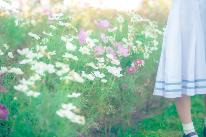 コスプレイヤーニャロメ・ニアのTwitter画像21