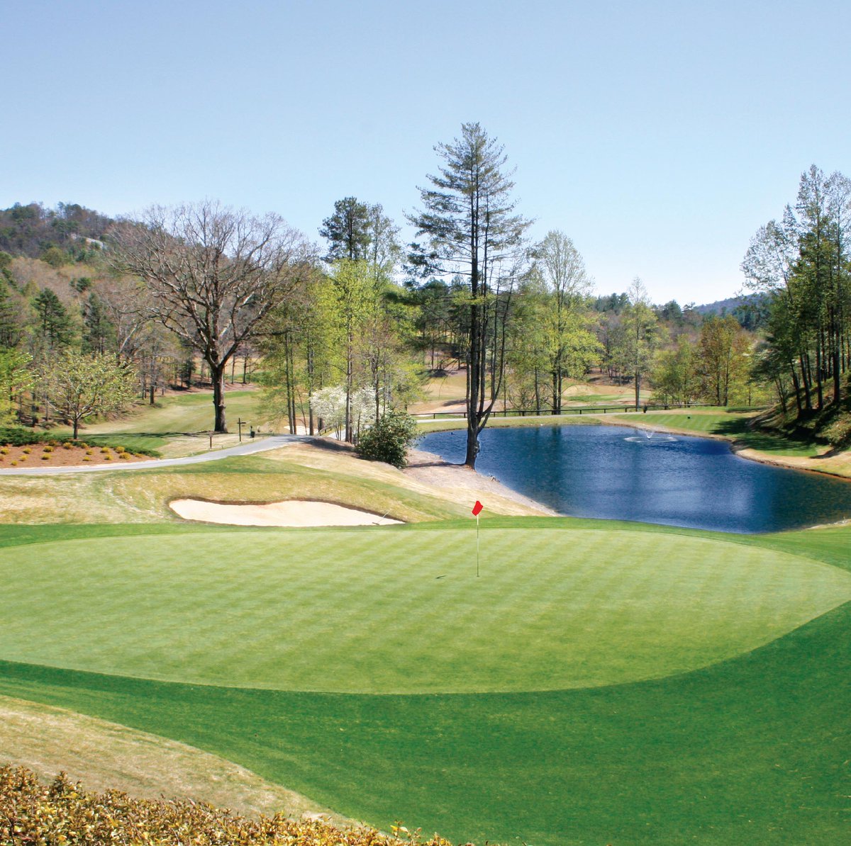 SensientInd's tweet photo. For high-definition contrast on damaged, stressed or dormant turf, superior weather-fastness and high UV stability, SensiPro Green Links colorants tick all the boxes, and they’re tolerant of heavy footfall too. A greenkeeper’s dream! https://t.co/9FWWooy3Qo
#TurfColorants #golf https://t.co/gfI1Tr2tRR
