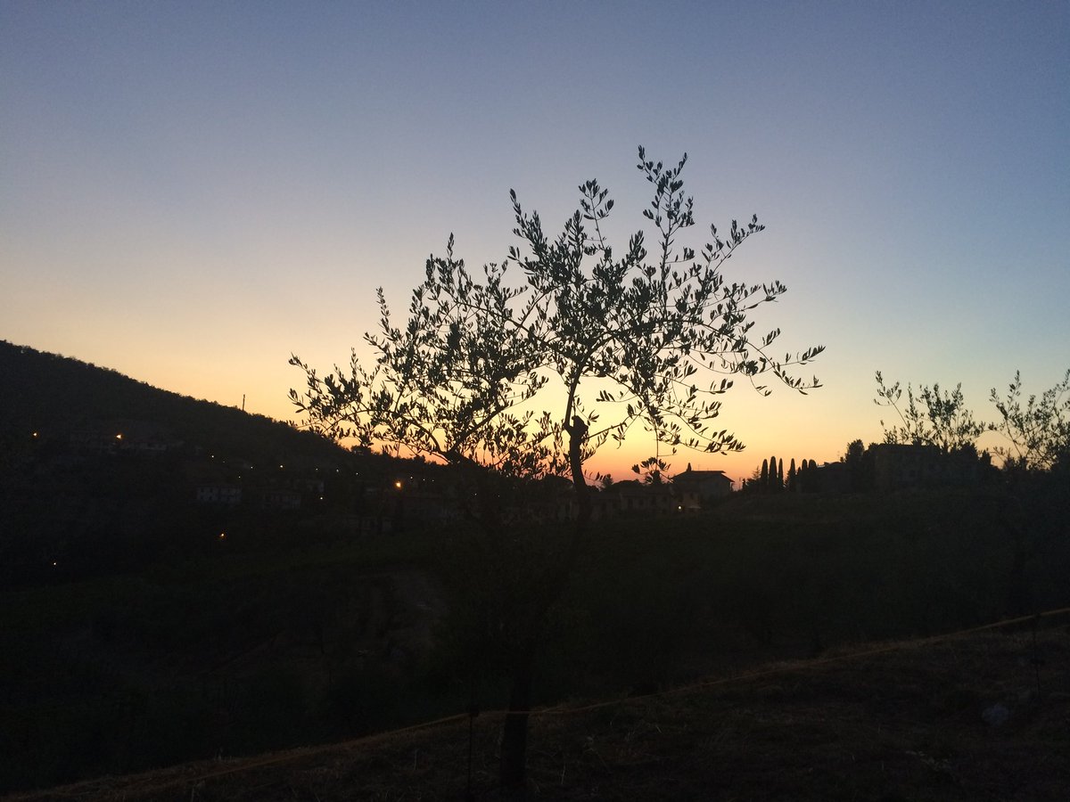 Day 17: #aphotoaday #aphotoadayforamonth #landscape #landscapephotography #nature #naturephotography #sunset #trees #rollinghills #rollinghillsoftuscany #chianti #tuscany #italy🇮🇹 #nofilter