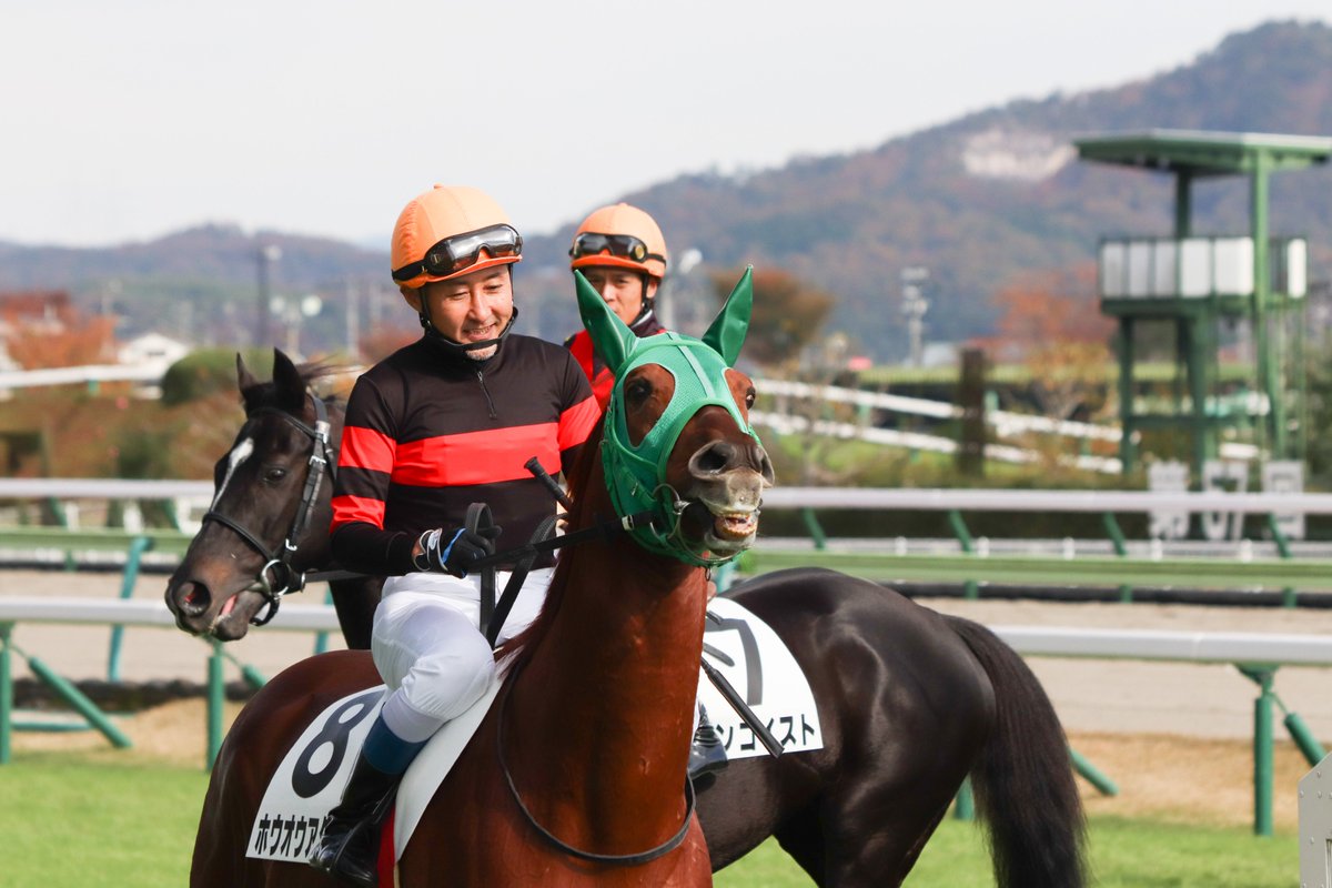 majesty_bio's tweet photo. 2021/11/14 福島5R・障害未勝利

障害見せをしている場面。
馬も人も本当にいい表情をするんだよなぁ。

#グリニッチヴィレジ
#伴啓太
#タマノジュメイラ
#草野太郎
#ホウオウアクセル
#北沢伸也
#イワネコゴシキ
#小野寺祐太 https://t.co/8TbhxL11Aj