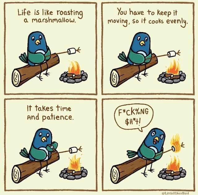 StMaryMacKiller's tweet photo. Today’s absolutely unconnected meme. One of my all time faves.
Not really a real meme. #cartoon 
#MemeDrop #memesdaily #ItsStillGood #MEMES https://t.co/DBymcICwF7