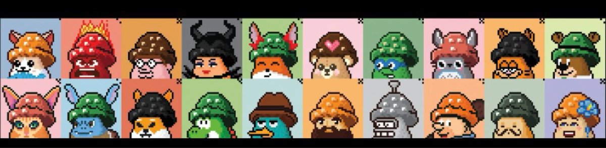 icyymaatt's tweet photo. 24H until the end of the Shroomolympics! Join the channel and try to win one of them 🥰 @funky_shrooms  #tothemoon #funkyshrooms #shroomolympics https://t.co/AOYY9B8XZg
