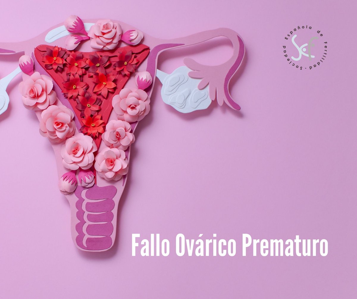 Sefertilidad's tweet photo. El Fallo Ovárico Prematuro consiste en el cese de la actividad de los ovarios de forma prematura, y puede deberse a diferentes factores 👉 https://t.co/Ftlm2WG5lh https://t.co/Lo3oSHsklJ