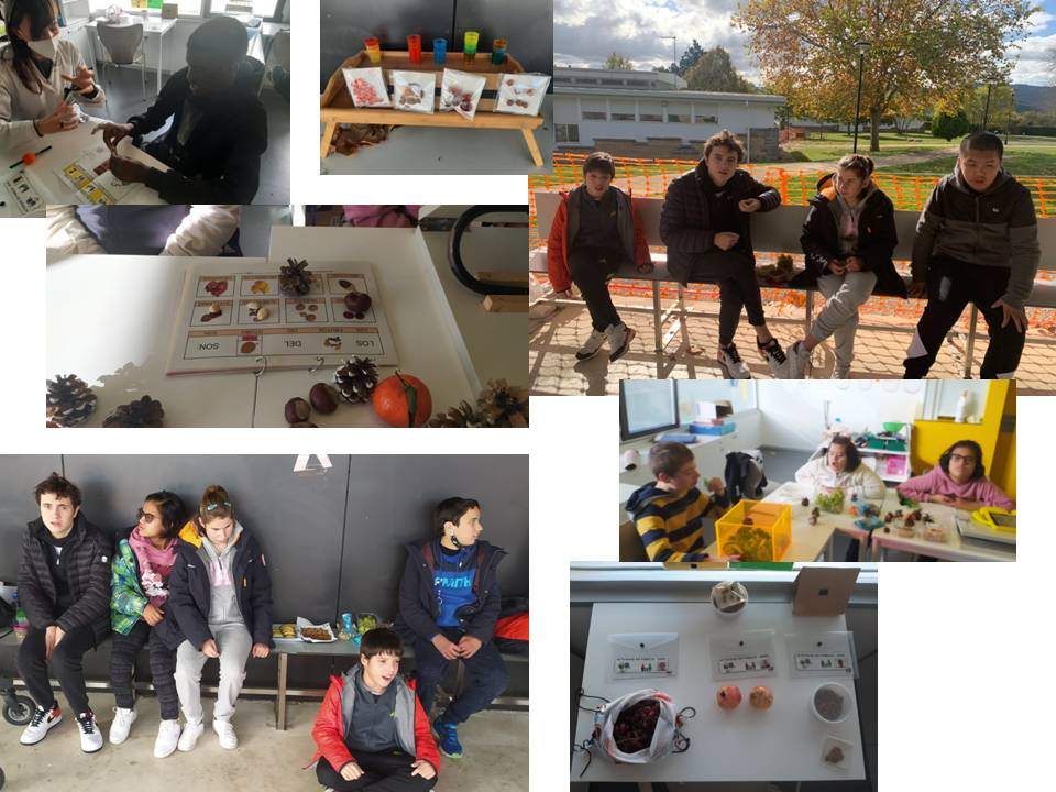 CEE Isterria tweet media