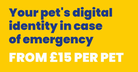 @mipetsos tweet media