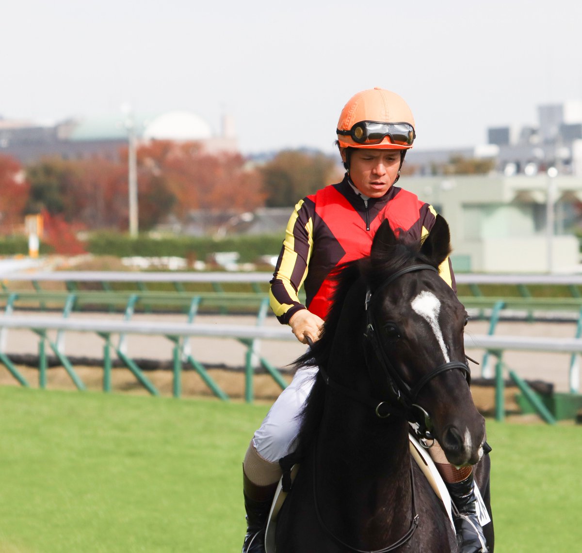 majesty_bio's tweet photo. 2021/11/14 福島5R・障害未勝利

福島の置き障害前は特等席！！
障害レースを普段あまり見ないという人も、飛越する場面を見たら夢中になるはず。

#プラチナポセイドン
#上野翔
#ウインガヴァナー
#森一馬
#ルヴォルグ
#五十嵐雄祐
#ジンゴイスト
#高田潤 https://t.co/aCq13kHKg7