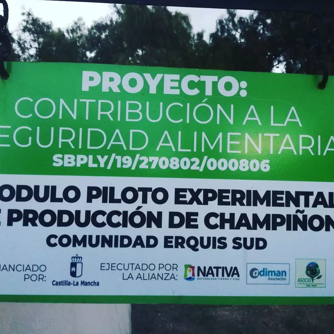 AdimanCuenca's tweet photo. En la primera parada de nuestro viaje a #Bolivia, concretamente a la zona de #Tarija, visitamos el municipio de #Erquis donde han cultivado #champiñón con la colaboración del técnico de Champiniesta. 

#Adiman #cooperaciónaldesarrollo 

Toda la info👇
https://t.co/QtspvWBPwj https://t.co/7C35zeAxJX