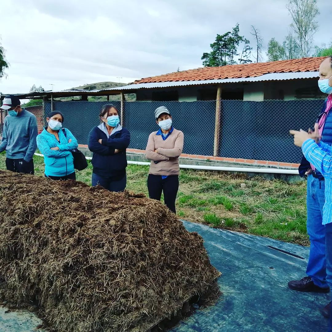 AdimanCuenca's tweet photo. En la primera parada de nuestro viaje a #Bolivia, concretamente a la zona de #Tarija, visitamos el municipio de #Erquis donde han cultivado #champiñón con la colaboración del técnico de Champiniesta. 

#Adiman #cooperaciónaldesarrollo 

Toda la info👇
https://t.co/QtspvWBPwj https://t.co/7C35zeAxJX