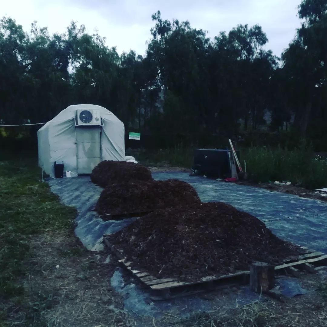 AdimanCuenca's tweet photo. En la primera parada de nuestro viaje a #Bolivia, concretamente a la zona de #Tarija, visitamos el municipio de #Erquis donde han cultivado #champiñón con la colaboración del técnico de Champiniesta. 

#Adiman #cooperaciónaldesarrollo 

Toda la info👇
https://t.co/QtspvWBPwj https://t.co/7C35zeAxJX