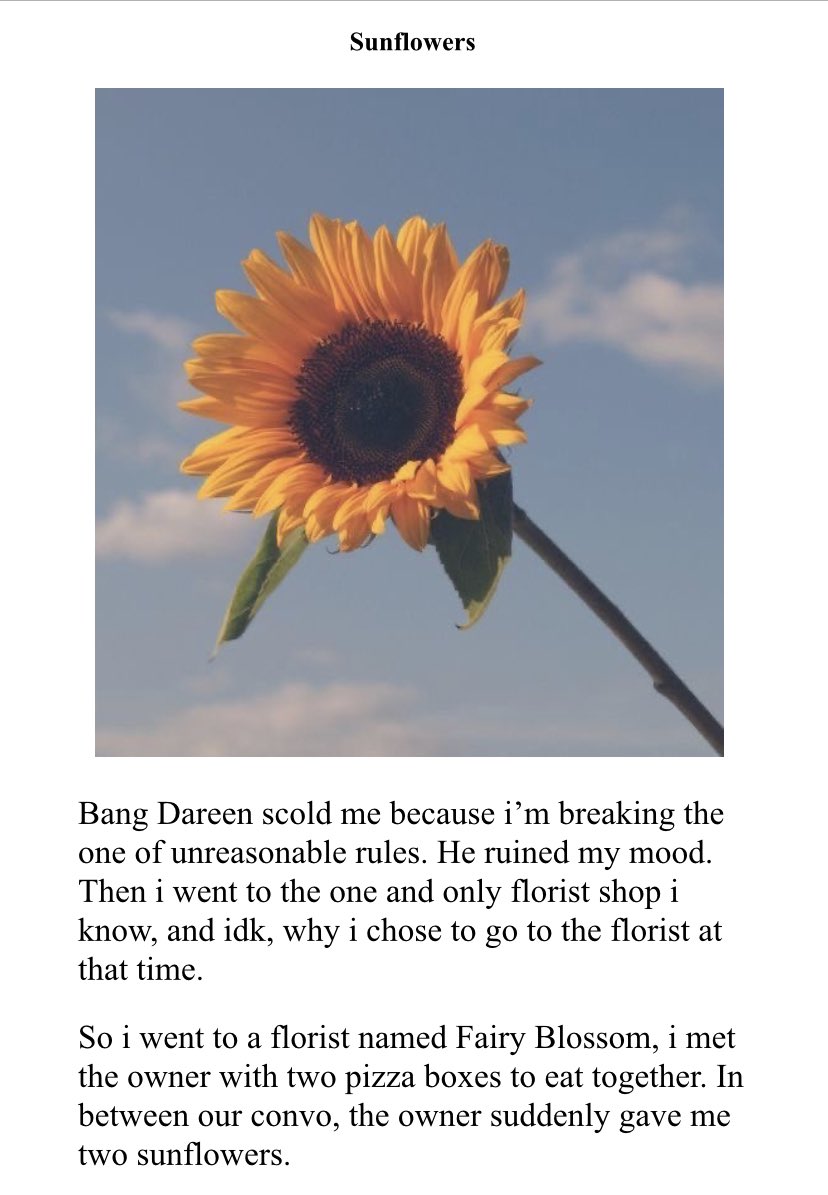 sannflowers_'s tweet photo. — https://t.co/hmSaKFo0cB