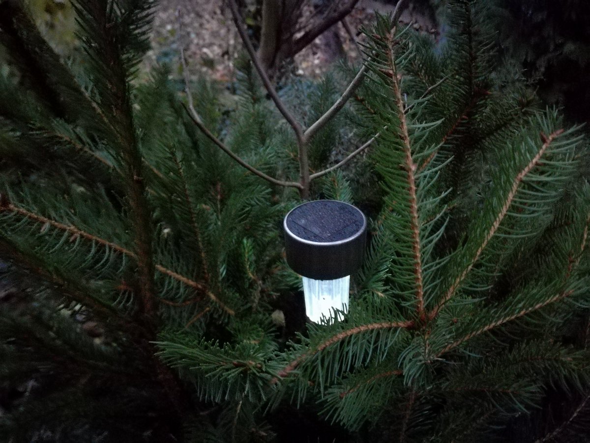 kristallnaach's tweet photo. Noch hat der #Friseur geöffnet..
🌲#Baumschnitt #Gärtchen21 🌲
Ich sollte mich auf den Marktplatz stellen..tollen Reisig verschenken.. https://t.co/M8P4c8YLcg