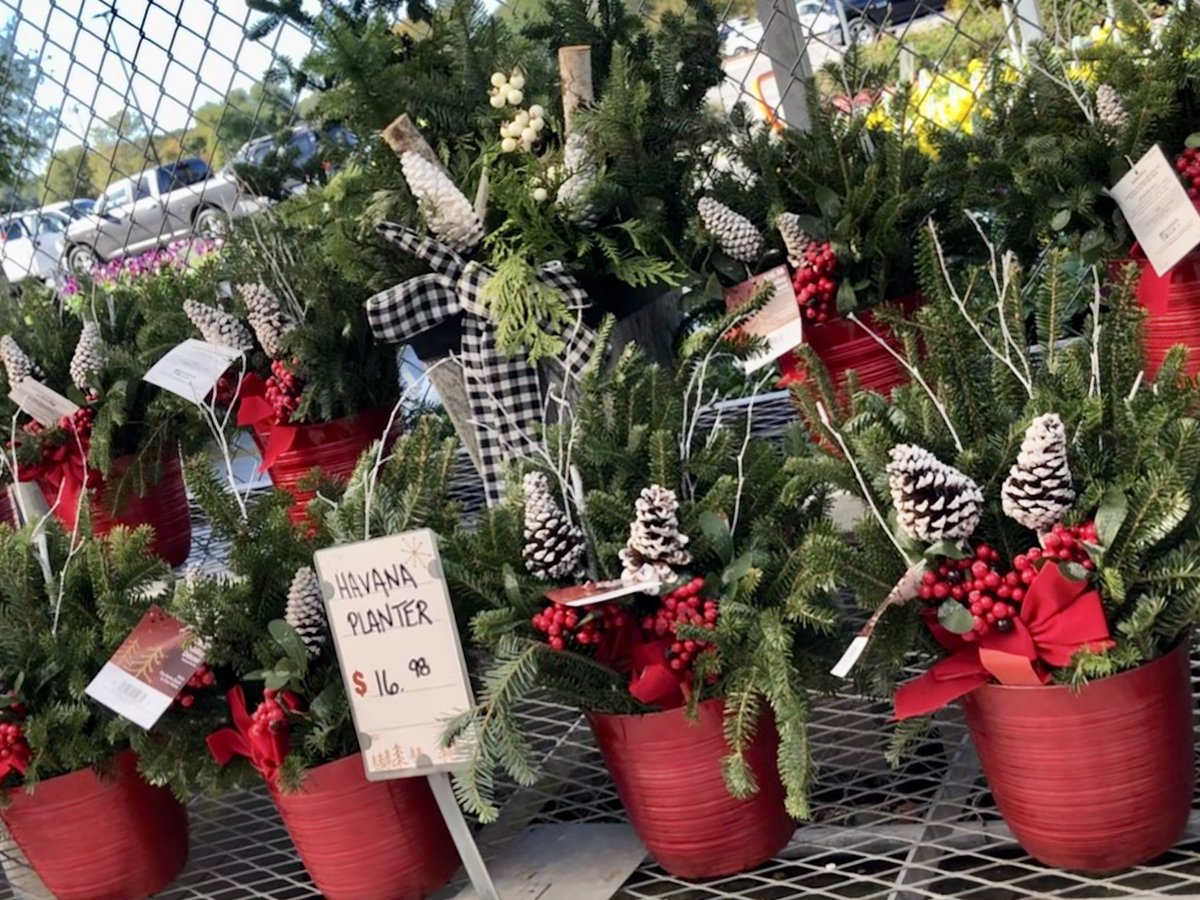 PPSKare's tweet photo. PPS/Metrolina Elves have been very busy in Shallotte NC at Our Home Depot 3648! #oceanair #freshpine @scottburtonthd @HomeDepot @JimSimmonsHD @lumbeelady2004 @JustinCrockett6 @ThaneTHD @Stephen_E_Camp @pps_s_atlantic @PPSinHD https://t.co/VuEavJlUJv