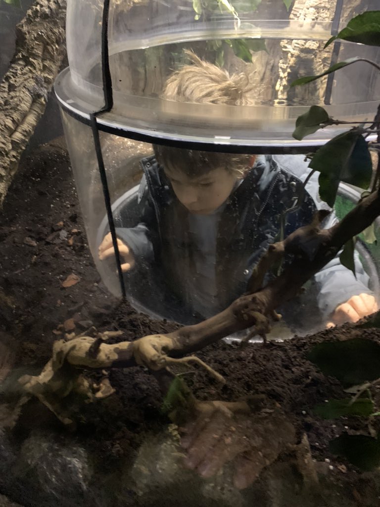 upperKS2's tweet photo. Year 4 at the London aquarium. @mandeville_AL1 https://t.co/EYUlP0cBf0