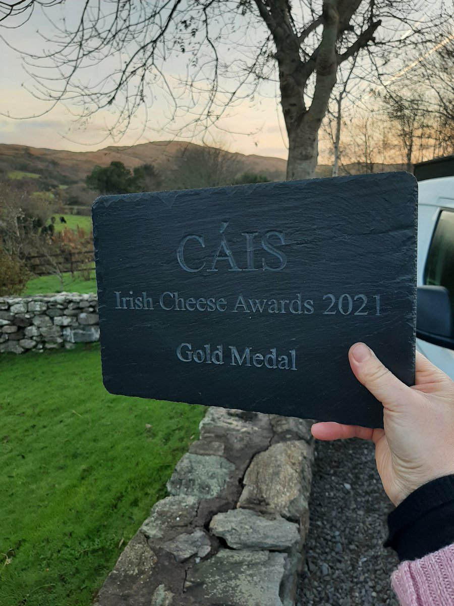 What a beautiful thing to find on my desk this morning. Not one but two Gold awards from the Irish Cheese Awards last week. Thank you @caisireland @SlatedIreland #morninglight