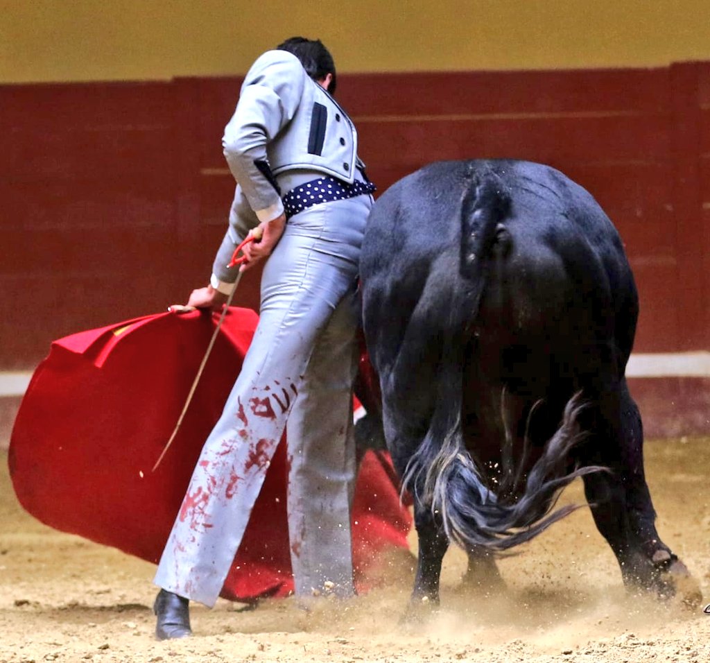 emdejusto's tweet photo. Garcigrande...
📸 A.Carlos Sánchez https://t.co/gTZZh9bA2q