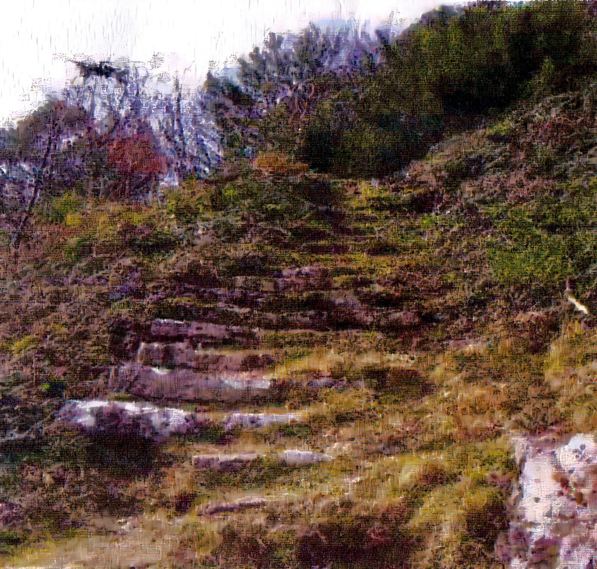 We’re approaching the 20th anniversary since starting work on the Gwrych Castle Estate, here is just one example of the progress we have made with the impassable paths &amp; lost pathways restored by the trust in 2002-2006. We will bring you more on this over the next couple of days.