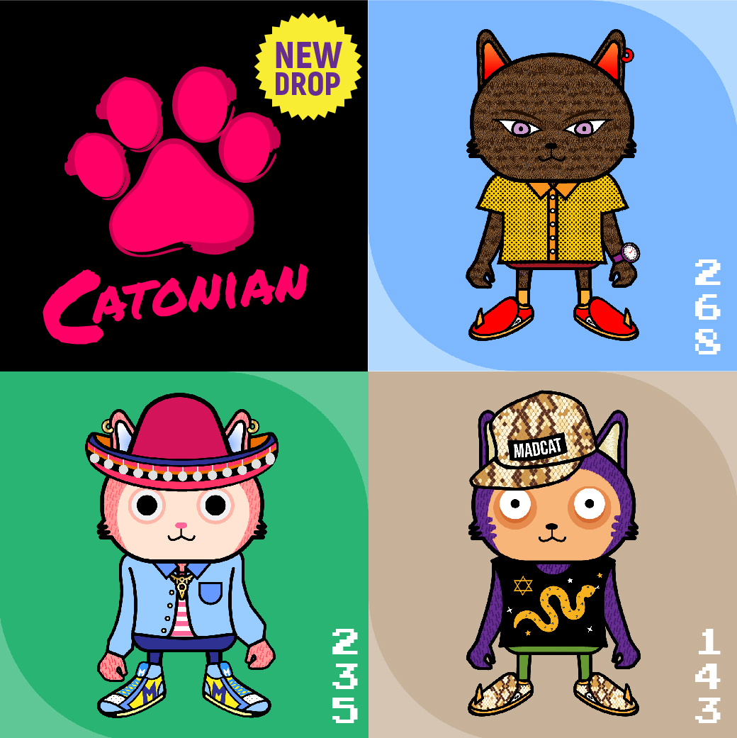 Catonian tweet media