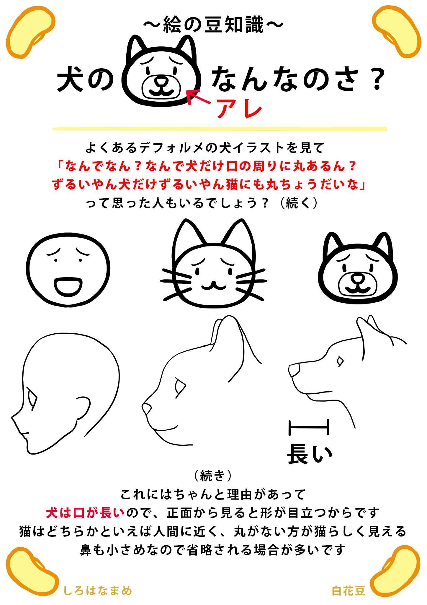 スイーツもちミカン 絵の豆知識 犬のアレなんなのさ デフォルメ絵は外してはいけない重要点が凝縮されたイラスト なので リアル系イラストが行き詰まった時は逆に デフォルメ絵を沢山見たほうが 絵が上達しやすかったりしますよ 豆知識 白花豆