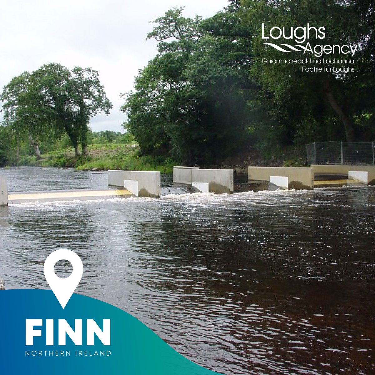 loughsagency's tweet image. The fish counters track the up and downstream movement of adult and smolt salmonids in the river, allowing the Agency to make informed decisions that will help preserve and conserve these iconic species.

Find out more: ow.ly/zqxM50GJbh7 
#FishCounter #Salmon #LoughsAgency