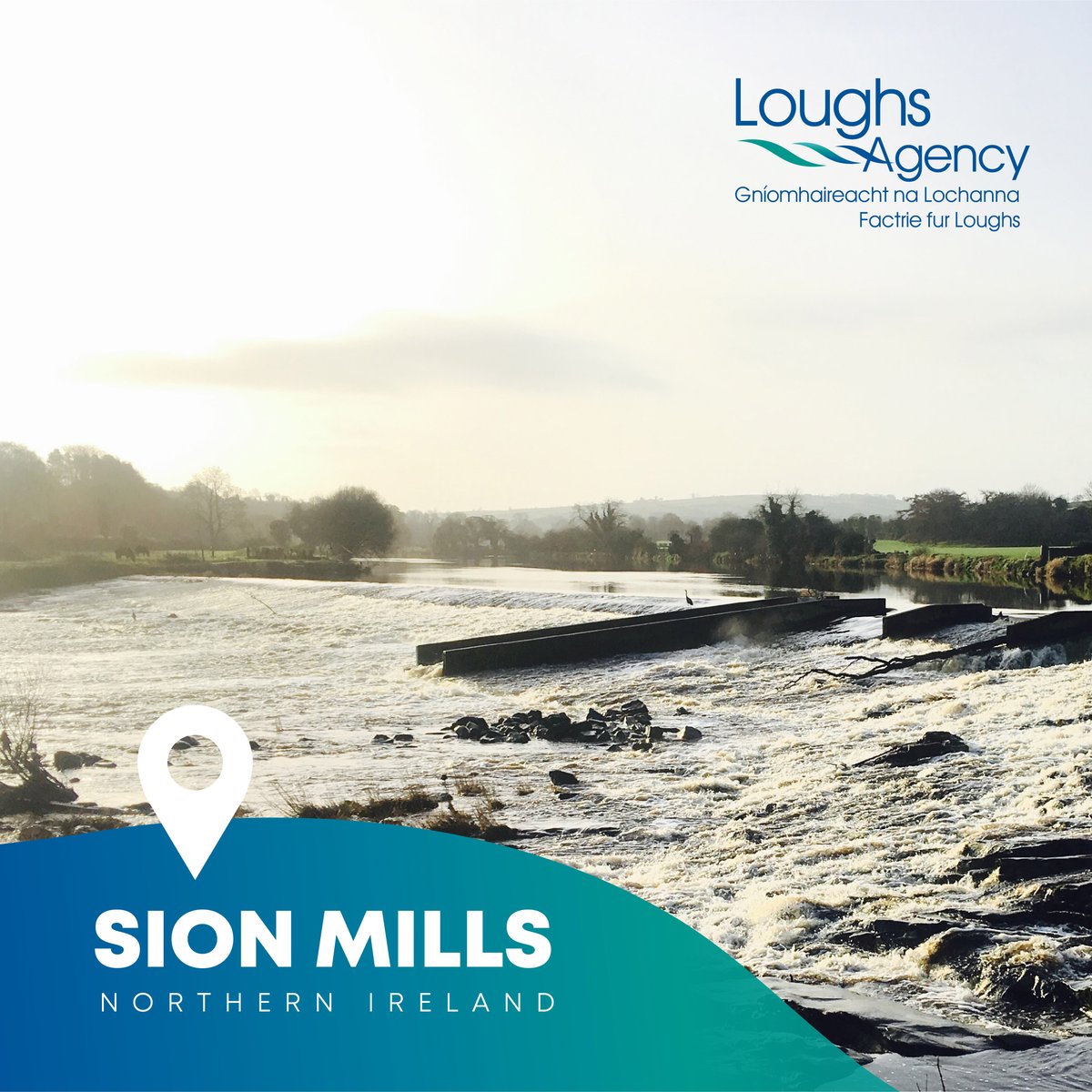 loughsagency's tweet image. The fish counters track the up and downstream movement of adult and smolt salmonids in the river, allowing the Agency to make informed decisions that will help preserve and conserve these iconic species.

Find out more: ow.ly/zqxM50GJbh7 
#FishCounter #Salmon #LoughsAgency