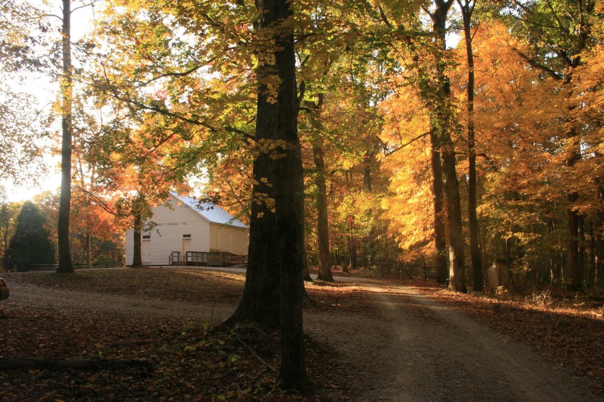 MammothCaveNP's tweet photo. Today is National Take a Hike Day. Mammoth Cave National Park has over 80 miles of hiking trails. Come take a hike in our beautiful park!
#TakeAHikeDay 
#FindYourPark https://t.co/5sN4aFz9bW
