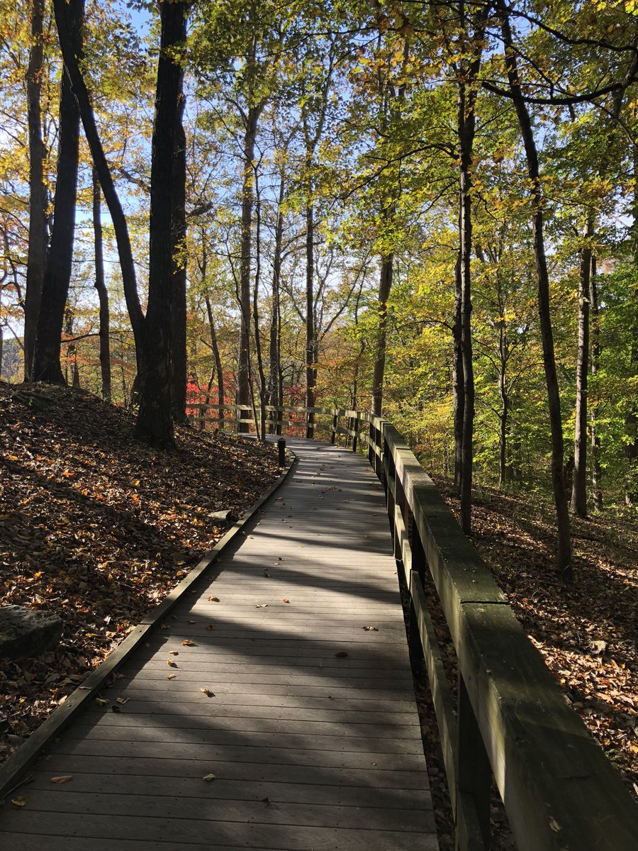 MammothCaveNP's tweet photo. Today is National Take a Hike Day. Mammoth Cave National Park has over 80 miles of hiking trails. Come take a hike in our beautiful park!
#TakeAHikeDay 
#FindYourPark https://t.co/5sN4aFz9bW