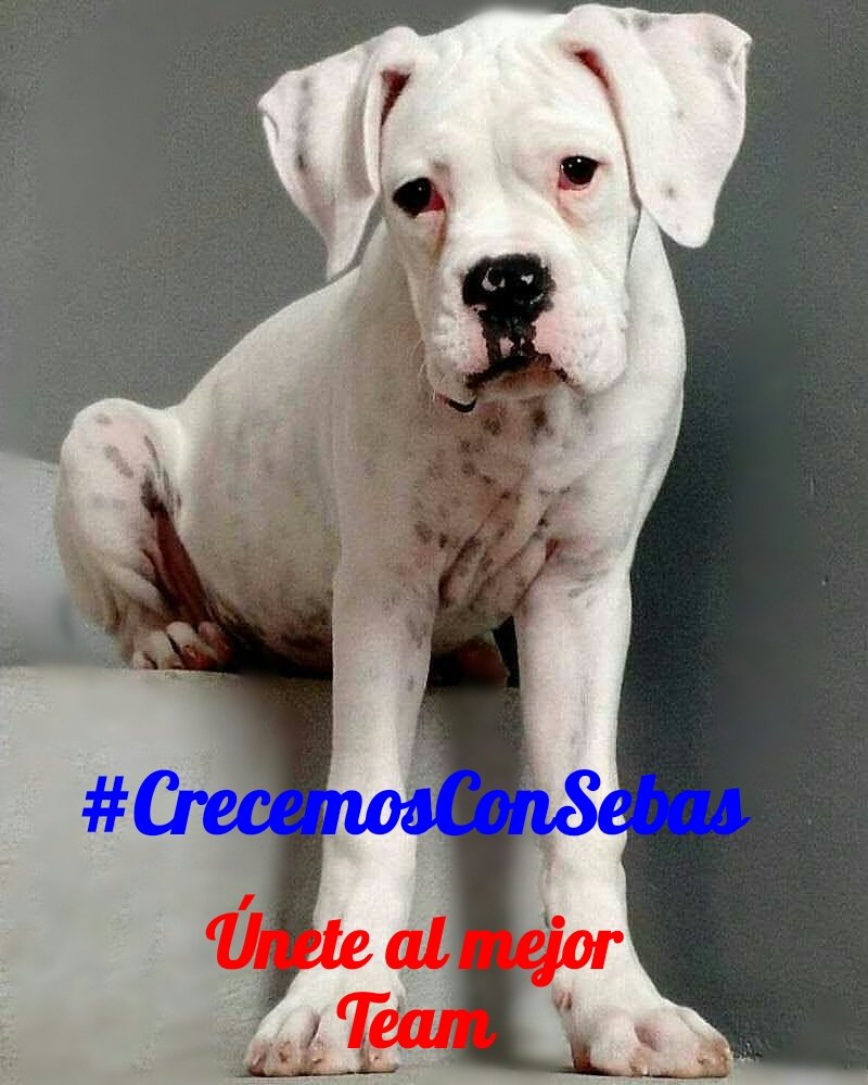 SashaSalvatoree's tweet photo. #CrecemosConSebas📈

@__S3B4S👔
@kmilosilva9
@MarkSanz12
@dannybj03
@A888my
@Dark_Camus
@bornthiswayraul
@J_C_822
@caitorosales
@LeyserMerladet1
@SalvatoreSSasha
@Jhoalfran
@ElderAcost
@Jemaco40
@imarvinh
@miranda_nov8
@SashaSalvatoree
@ruizfra21889955
@JustoNoelLpez2
@rebelgagss https://t.co/K0qY9gqZDh