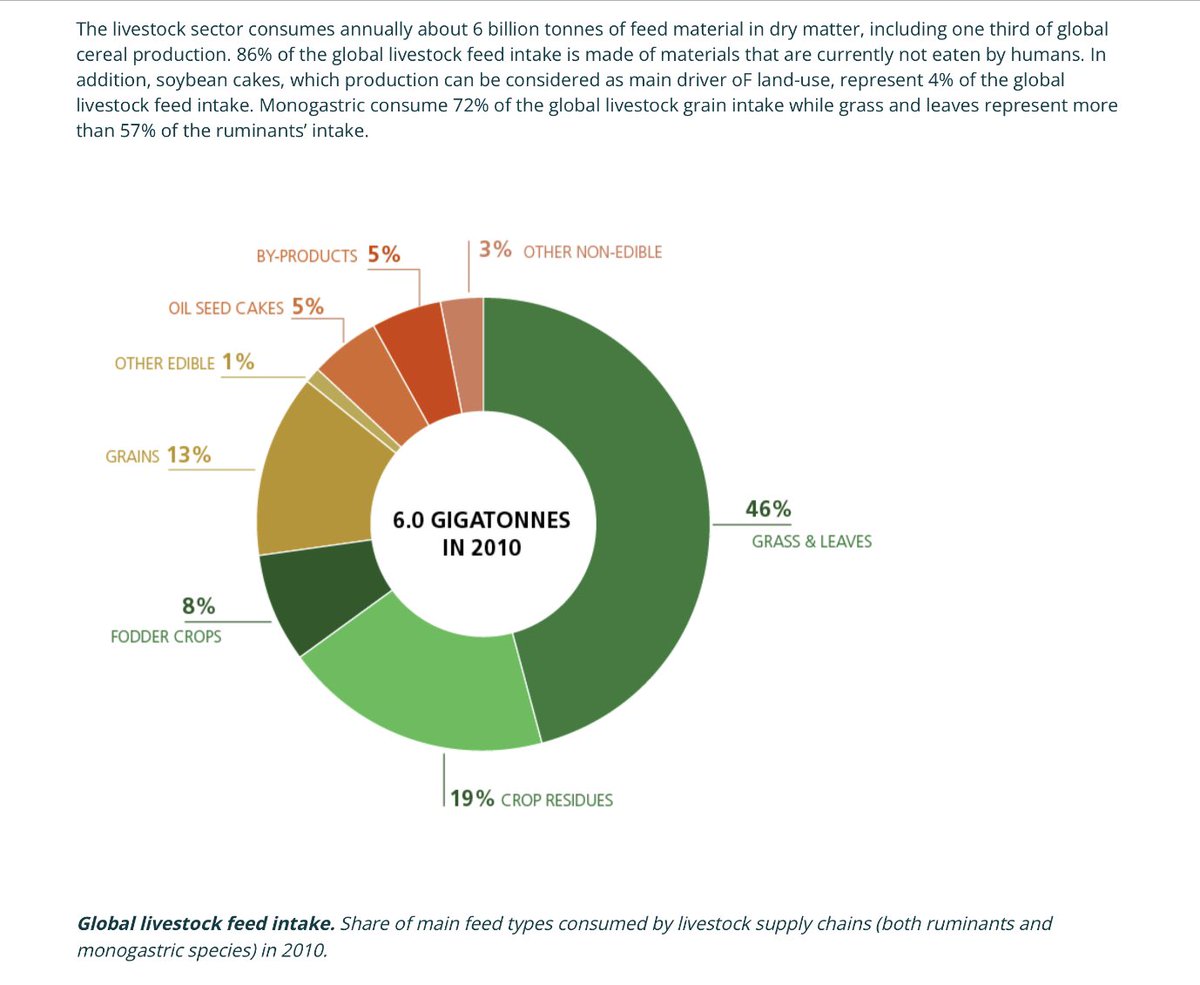 GHGGuru's tweet photo. What does livestock eat globally? Source: https://t.co/KyTwcQpJDr https://t.co/TPzEQcG4Jj