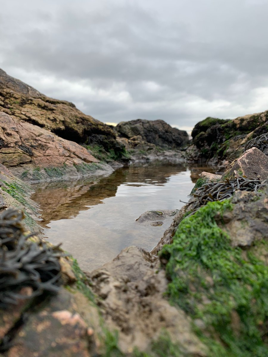 AMelrose_author's tweet image. Just a day out and about, plotting and planning the next novel in the Matthew Holland series. #Inspirationfromnature