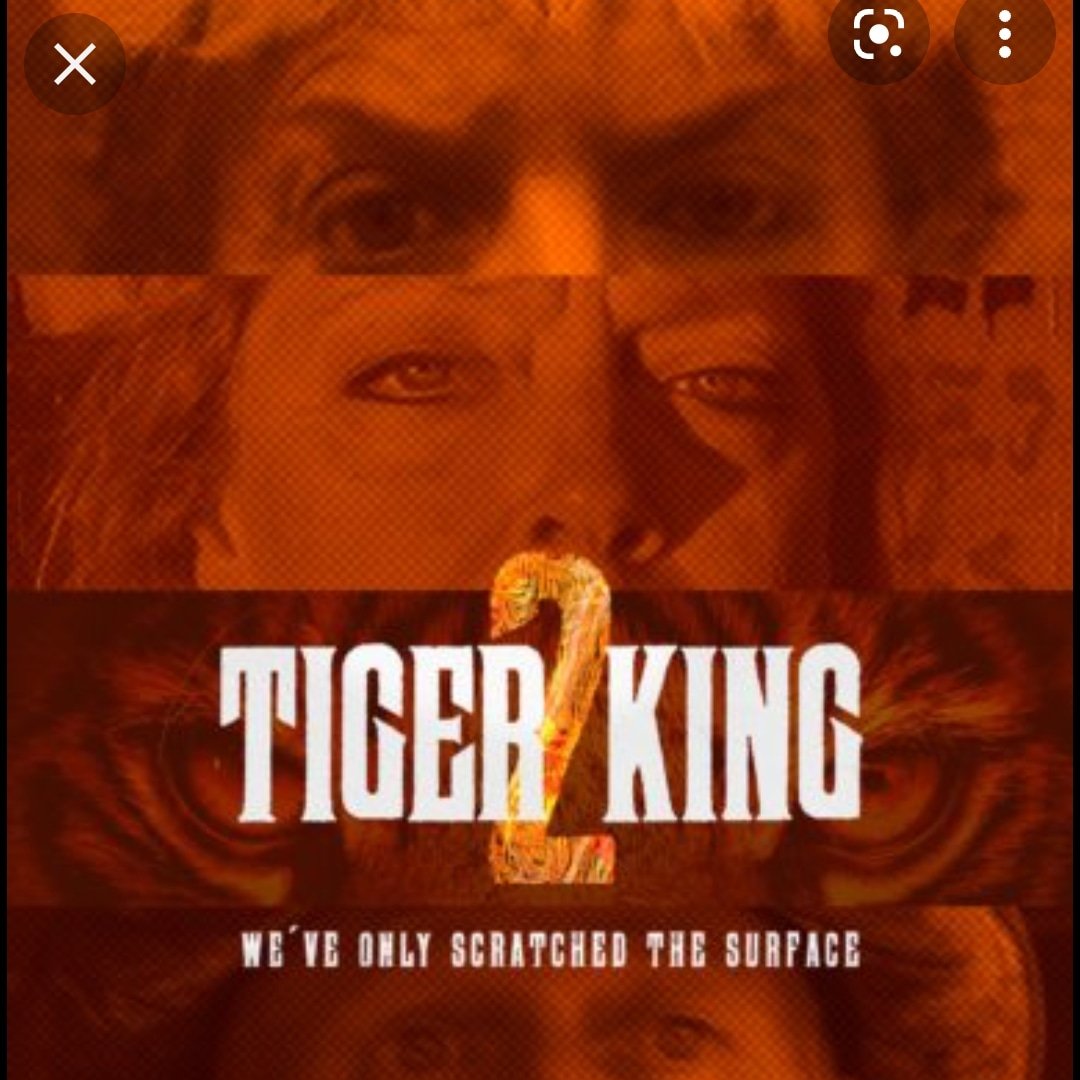 susankalexander's tweet photo. Omg! Tiger King 2 . Taking me to a happy place. #tigerking #netflix https://t.co/y69daUEomk